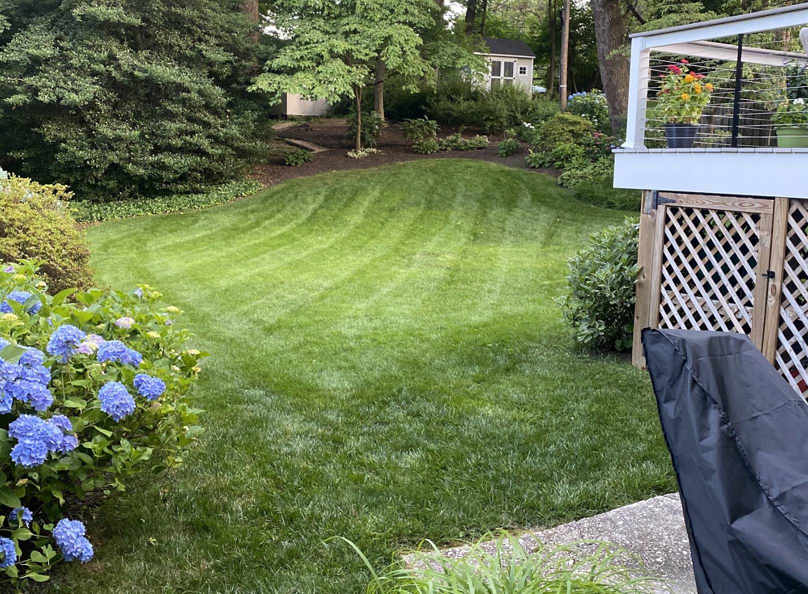Brooke Lawn