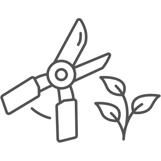 Garvin Properties Vegetable Gardens Icon